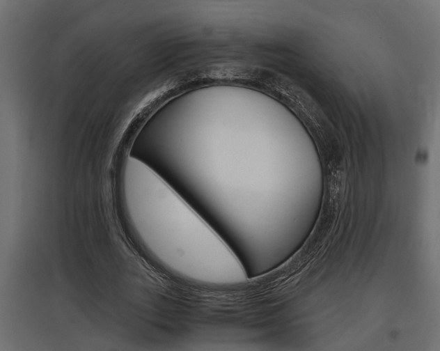 X0000097760727200803070836
