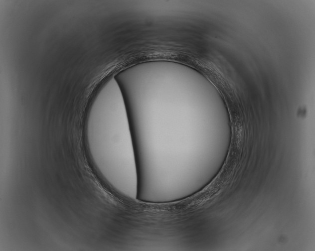 X0000097760729200803070836