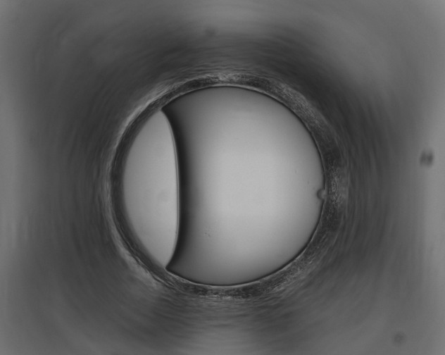 X0000097760730200803070836