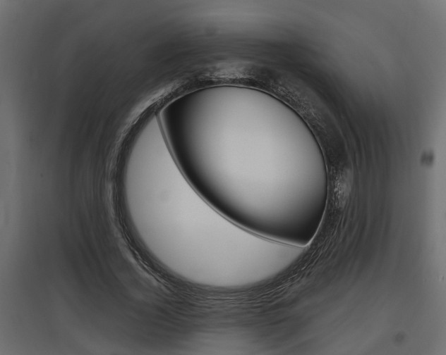 X0000097760732200803070836