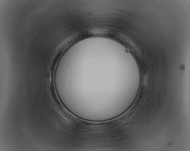 X0000097760733200803070836