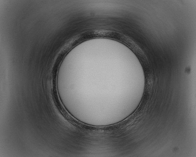 X0000097760734200803070836