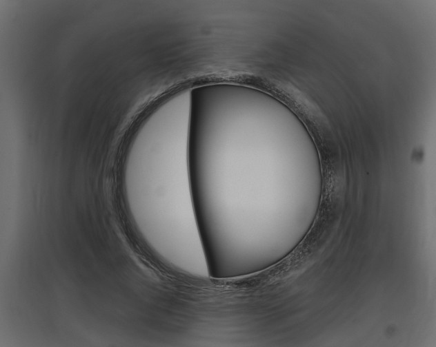 X0000097760736200803070836