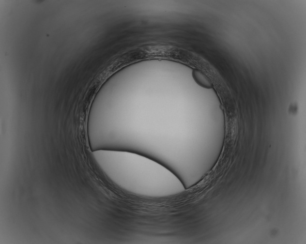 X0000097760737200803070836