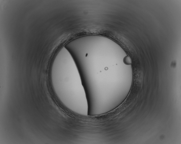 X0000097760738200803070836