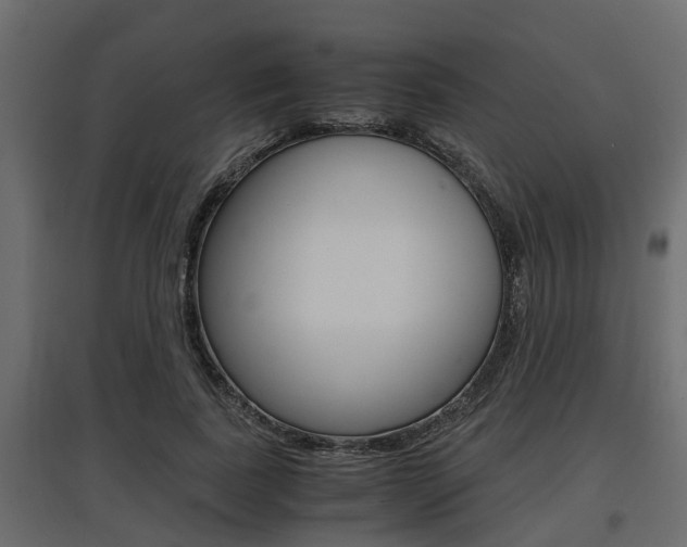 X0000097760739200803070836