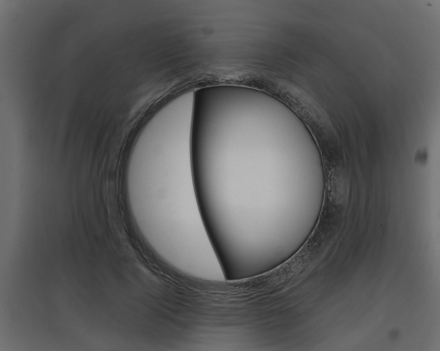 X0000097760740200803070836