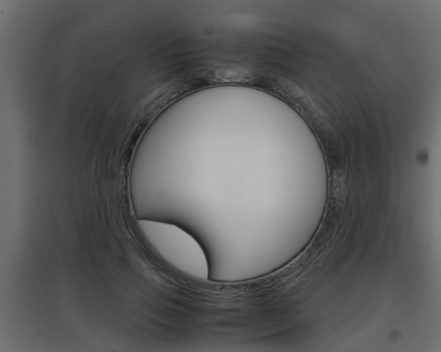 X0000097760741200803070836