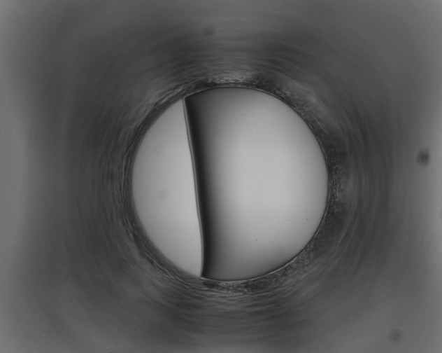 X0000097760743200803070836
