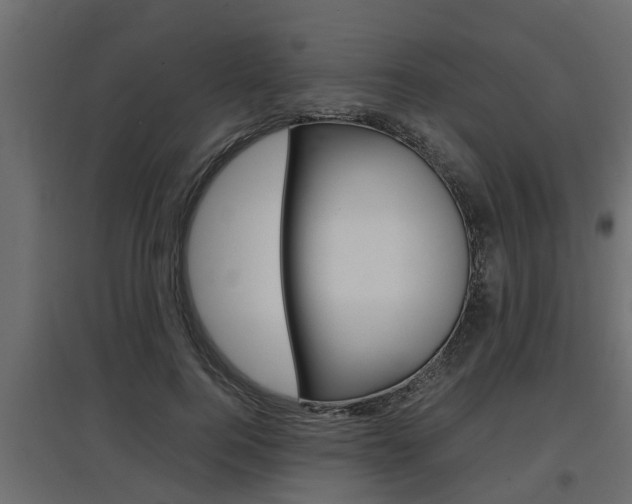 X0000097760744200803070836