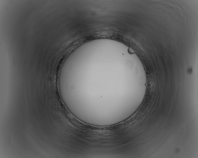 X0000097760745200803070836