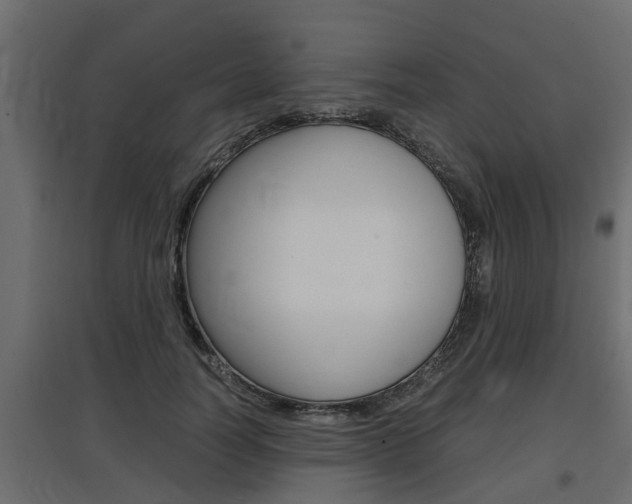 X0000097760746200803070836
