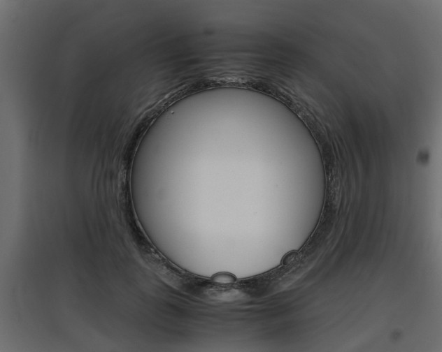 X0000097760747200803070836