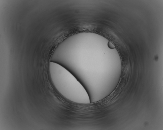X0000097760749200803070836