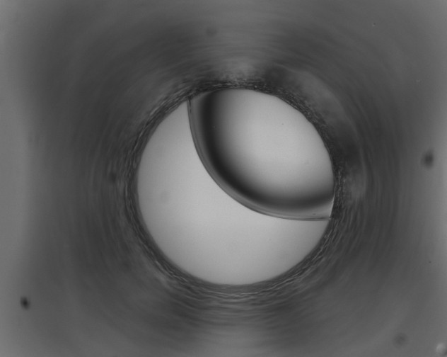 X0000097760750200803070836