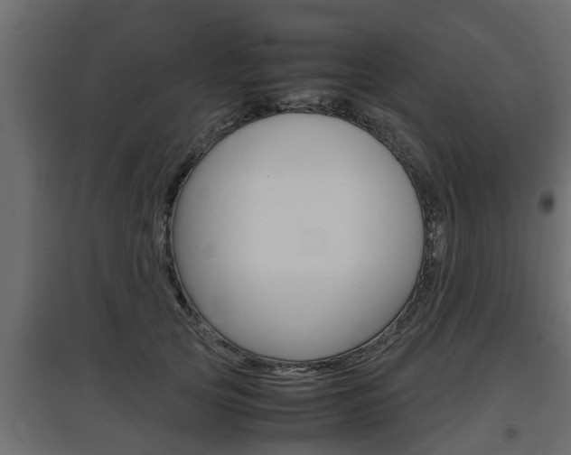 X0000097760753200803070836
