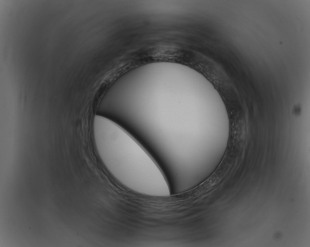 X0000097760755200803070836