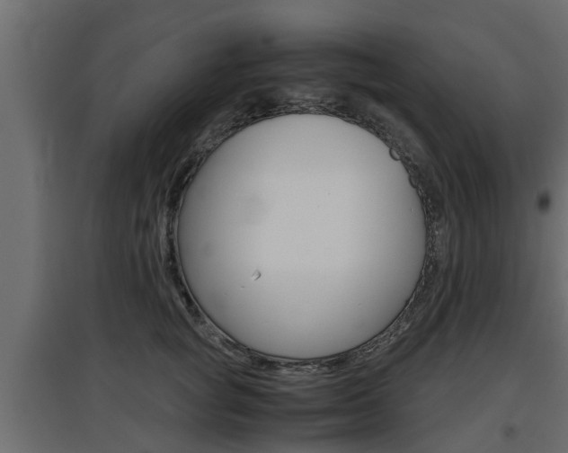 X0000097760757200803070836