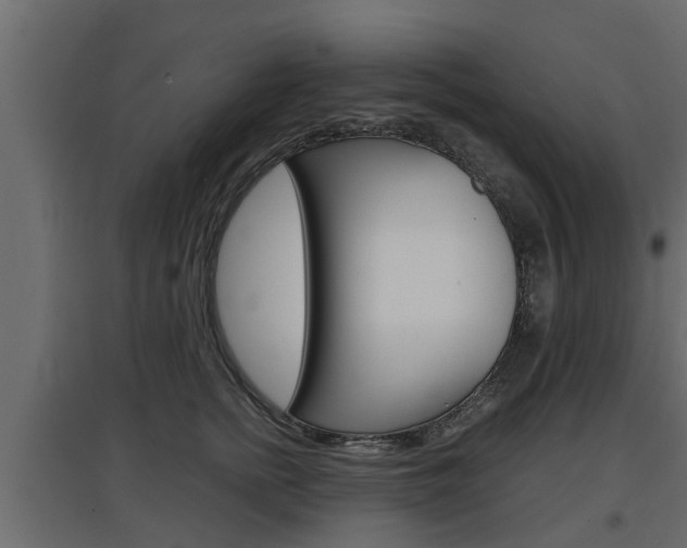 X0000097760758200803070836