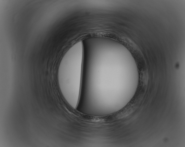 X0000097760760200803070836