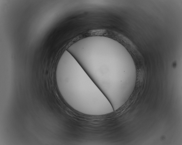X0000097760761200803070836