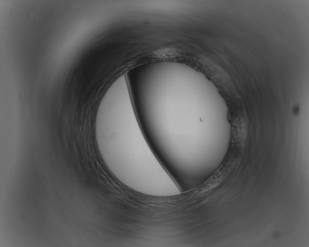 X0000097760762200803070836