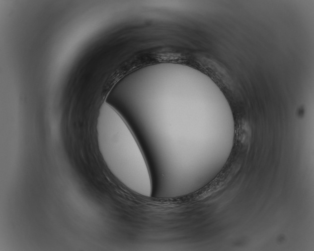 X0000097760763200803070836