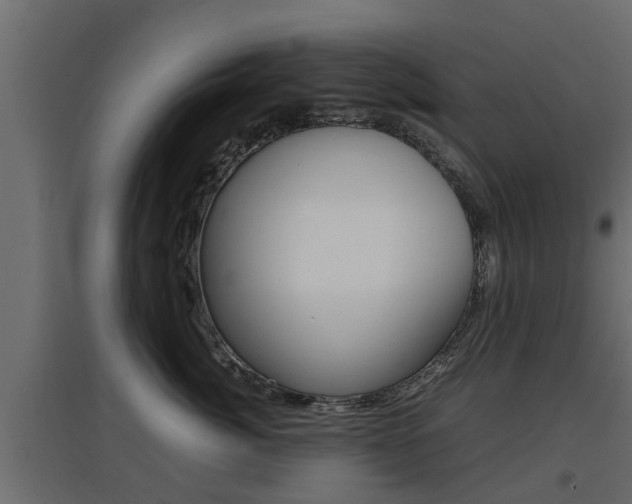 X0000097760764200803070836