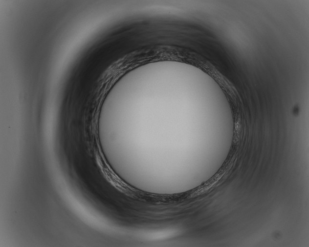 X0000097760765200803070836
