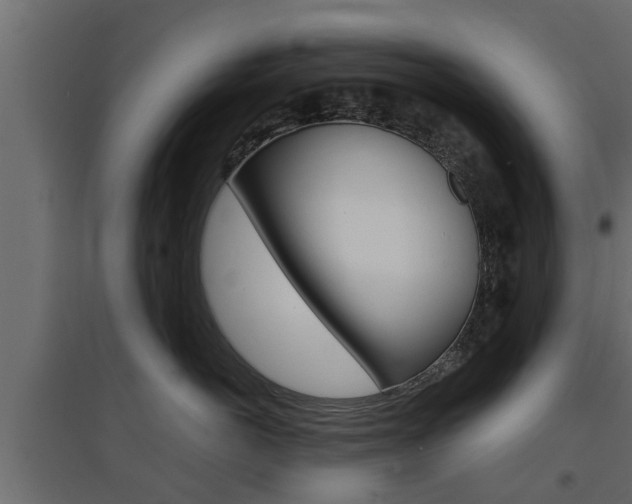 X0000097760766200803070836