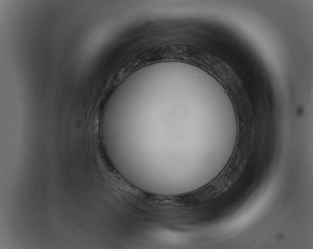 X0000097760767200803070836