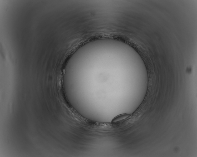 X0000097760768200803070836