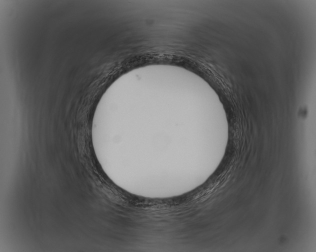 X0000097760769200803070836