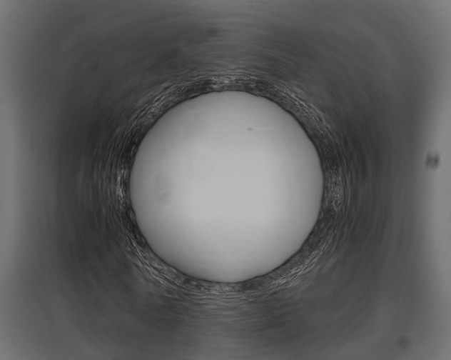 X0000097760770200803070836