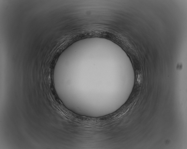 X0000097760771200803070836