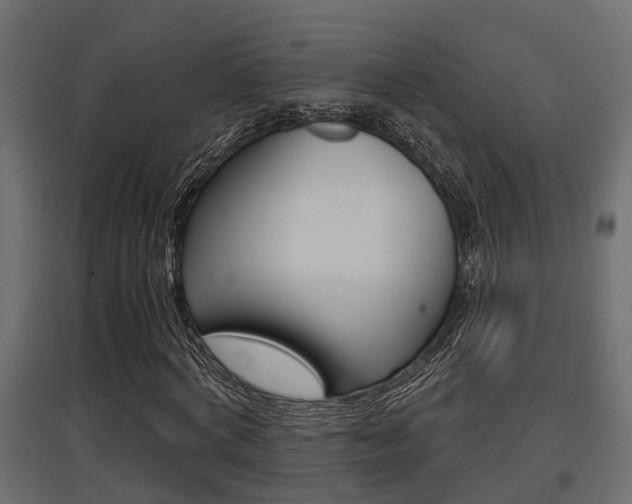 X0000097760772200803070836