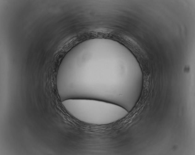 X0000097760774200803070836