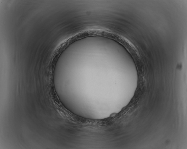 X0000097760775200803070836