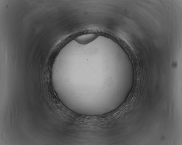 X0000097760776200803070836