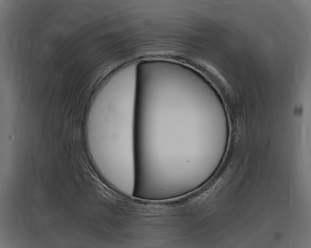 X0000097760777200803070836
