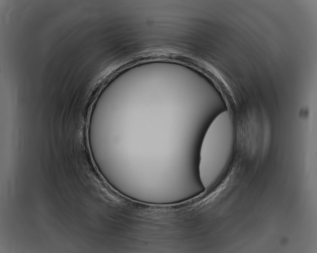X0000097760778200803070836