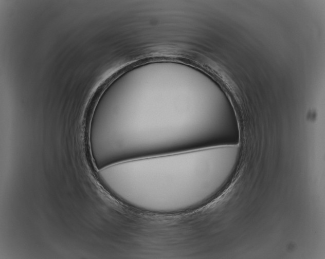 X0000097760779200803070836