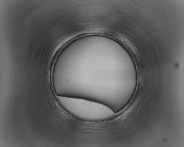 X0000097760781200803070836