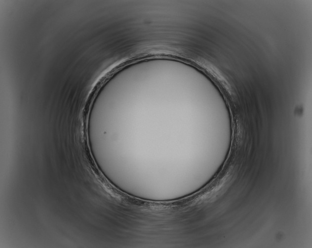 X0000097760782200803070836