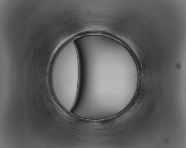 X0000097760783200803070836