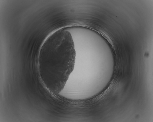 X0000097760784200803070836