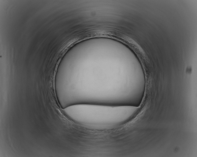X0000097760785200803070836