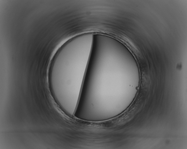 X0000097760788200803070836