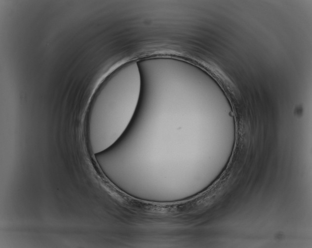X0000097760790200803070835