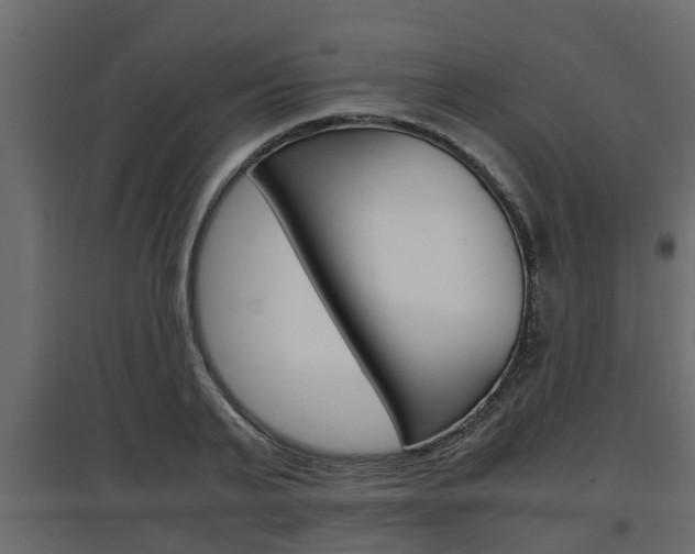 X0000097760791200803070835